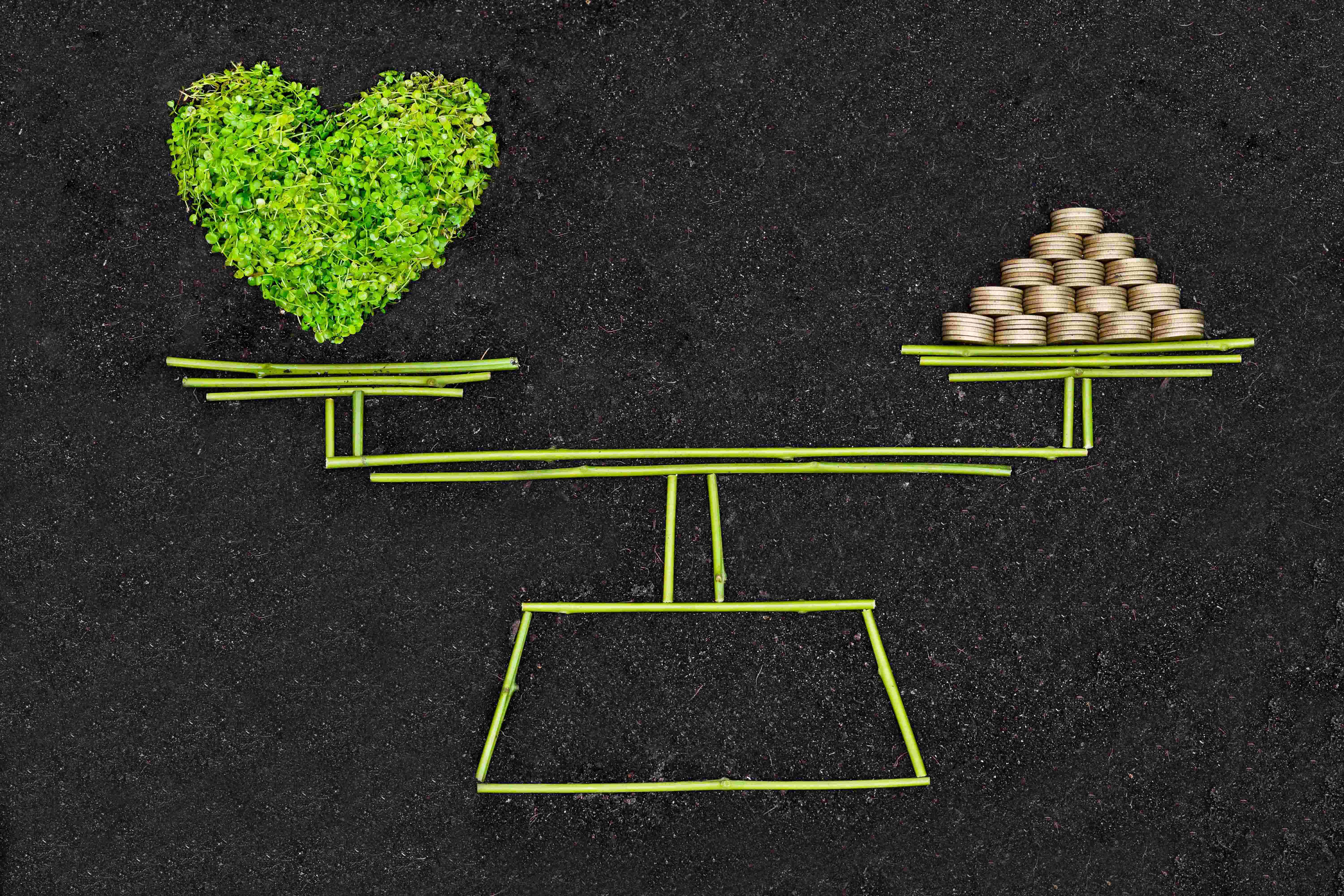 green heart and gold coins on bamboo scale